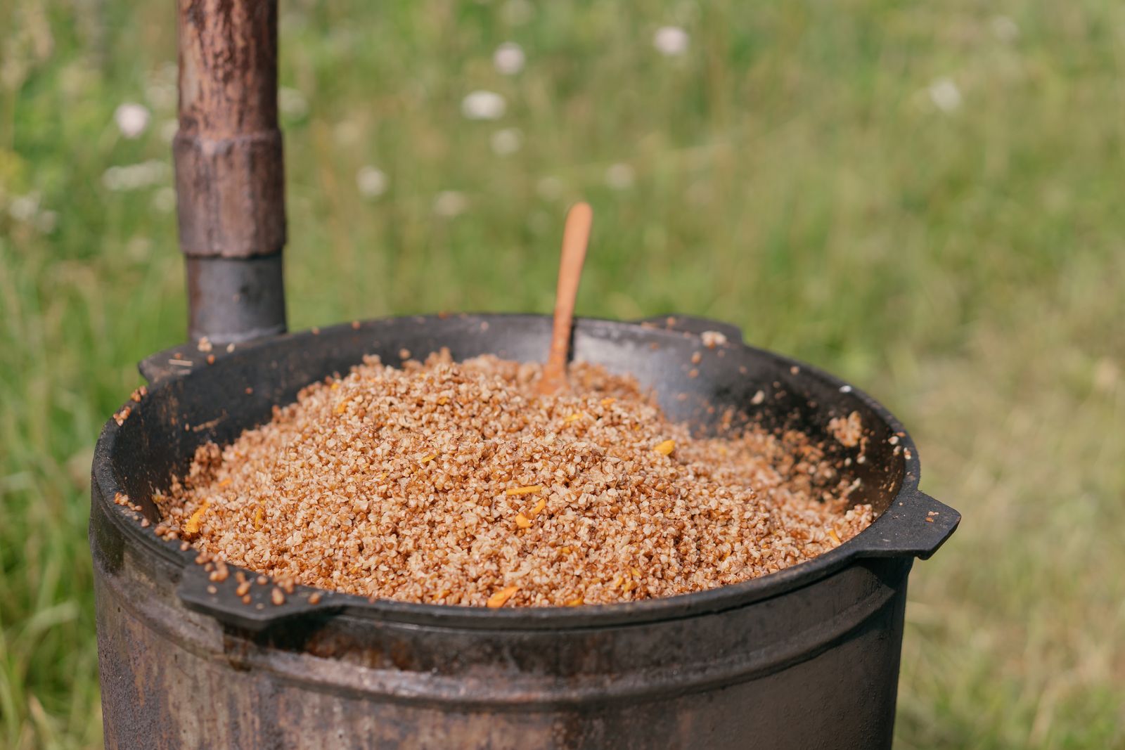 A rustic pot of cooked whole-grain rye berries